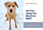 Are You Using Too Much Ice Melt? Let’s Talk About Winter Safety for Pets and Surfaces.