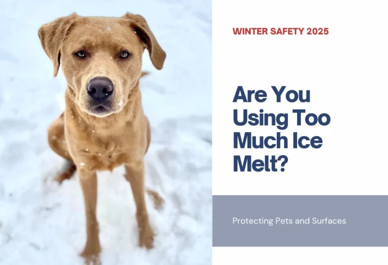 Are You Using Too Much Ice Melt? Let’s Talk About Winter Safety for Pets and Surfaces.